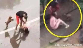 重庆爆料男子被打视频,街头暴力冲突引发社会关注 第1张 重庆爆料男子被打视频,街头暴力冲突引发社会关注 第1张